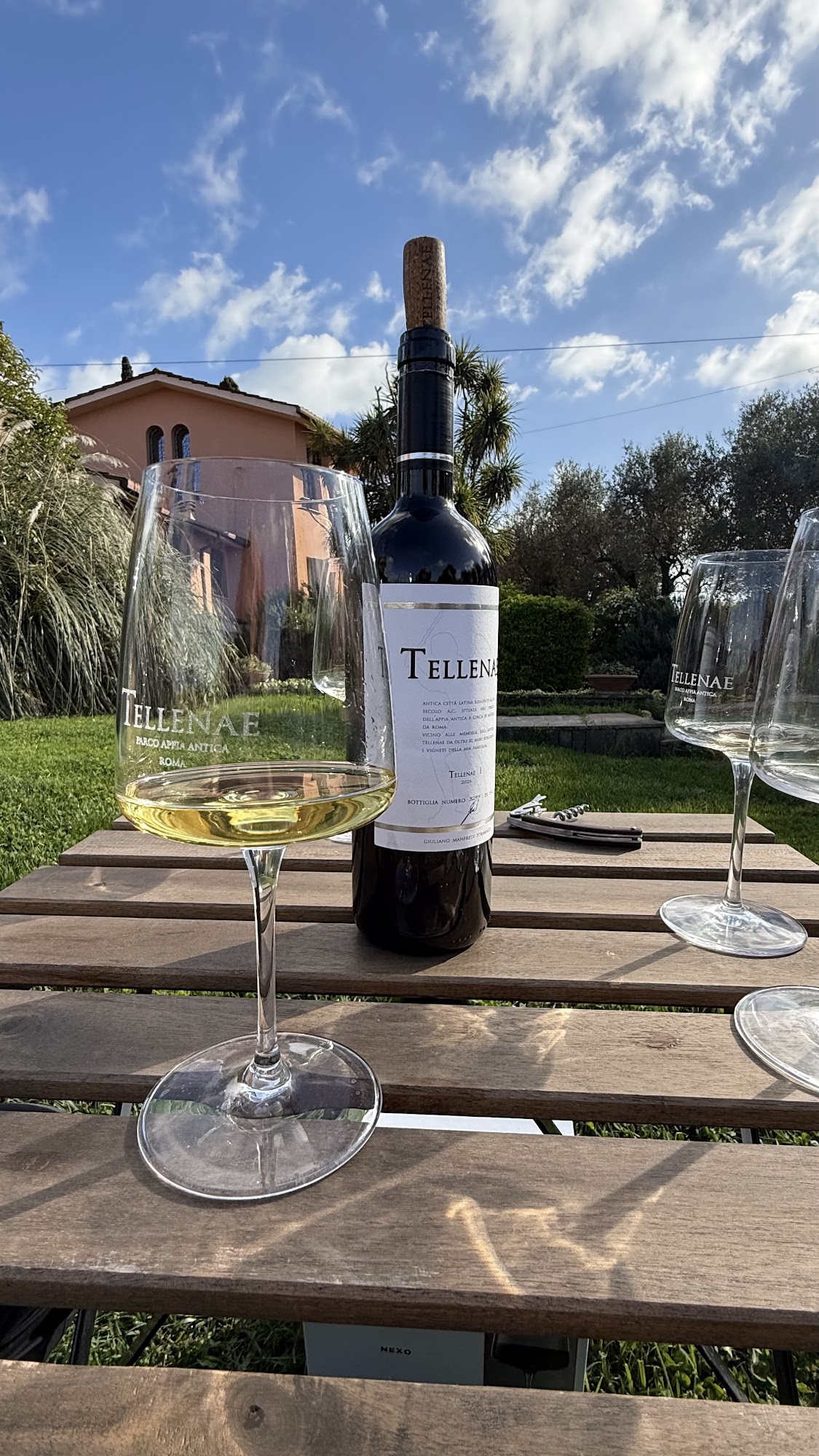 Degustazione Tellenae tra i vigneti al tramonto