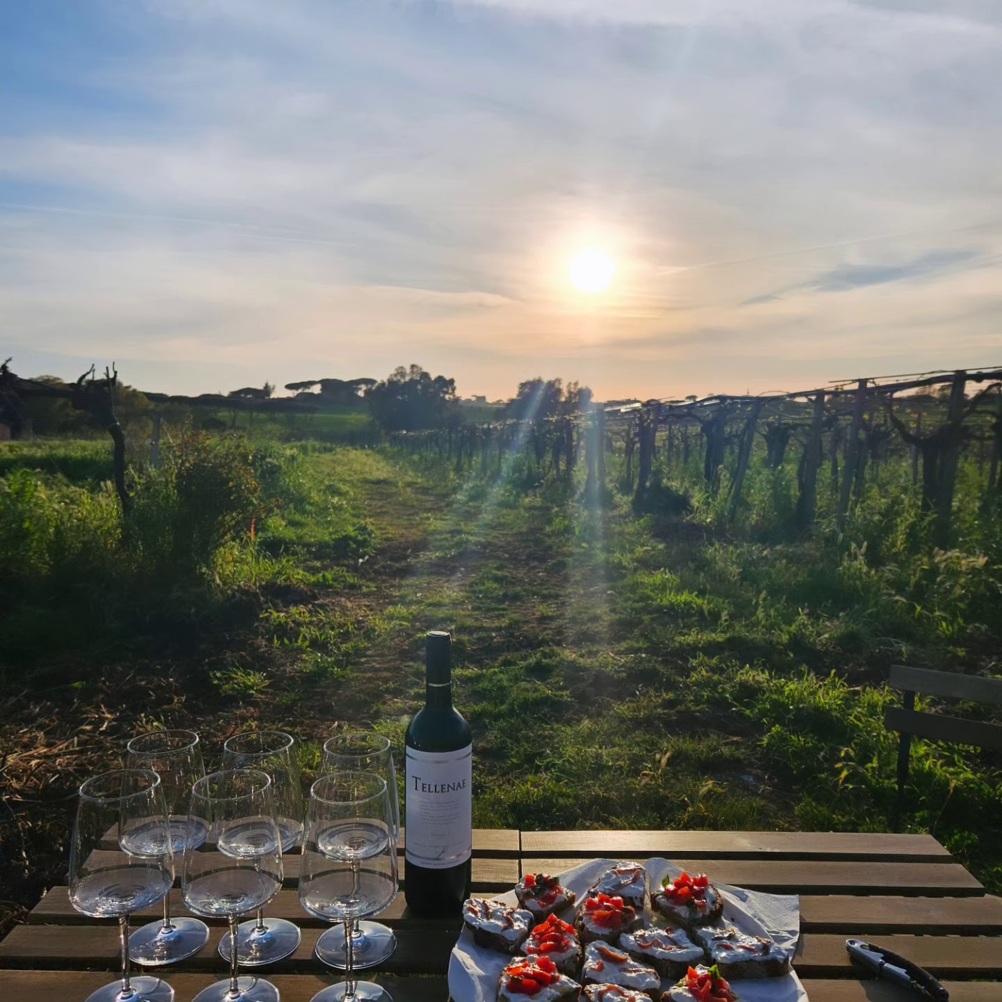 Tellenae degustazione all'aperto